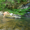 Platte Cove Falls
