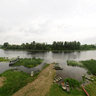 Zasavica Special Nature Reserve, Visitors Tower