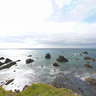 Mendocino Cliff Overlooking Pacific Ocean