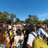 Hippie Hill on April 20th - 