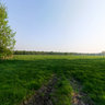 Marum (7) - Wuustwezel