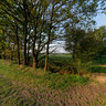 Marum (6) - Wuustwezel