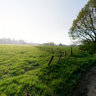 Marum (4) - Wuustwezel