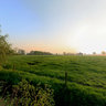 Marum (2) - Wuustwezel