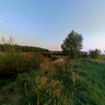 Marum (1) - Wuustwezel