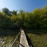 Carska Bara - Serbian nature reserve and largest bog