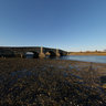 Colt State Park Estuary Bristol RI