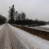 Frozen Pond