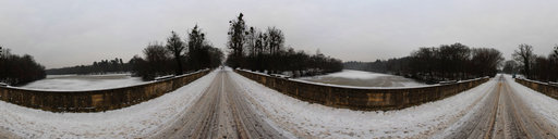Frozen Pond