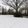 Snow Cottage