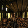 Fire Wood