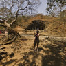 Trees Outside Elephanta Caves