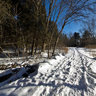 Boyd Conservation Area - Winter Hike Along the Humber