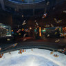 Two Oceans Aquarium (Nemo Found)