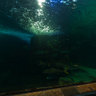 Two Ocieans Aquarium