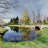 Blithewold Frogpond