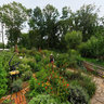 Die Garten Tulln - Bauerngarten (15)