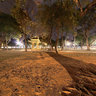 The ancient tree at Lenin Park, Hanoi