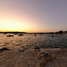 Aliki