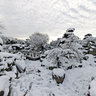 Japanese Garden in Winter, Seepark, Freiburg, Black Forest- View 1