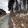 Austria Ohlsdorf - at the Ehrendorfer Forest . Lake Traunsee  near Gmunden