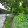 landside along the river Traun - directly after coming from lake Traunsee in Austria Salzkammergut