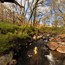 Loch Trool Stream