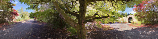 Balloch Country Park