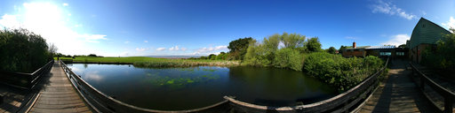 Wirral Country Park Wirral England