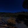 Moonlight Camp