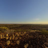 Cattle Country