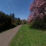 Frankenthal am Kanal - Ostring