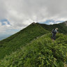 Field of Flowers on Mt.Daisen in Tottori, Japan