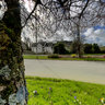 Quimper Printemps Arbre 