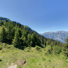 Heusee