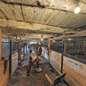 Old School Horse Barn