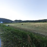 Edessas-  Kastorias road (Aetos)