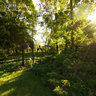 Wainwright House-Sculpture Garden