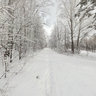 Central Siberian Botanical Garden