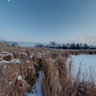 Chicago Botanical Gardens Winter Scene