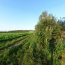Bavois, Marais des Puits