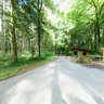 Echallens, Bois de la Commune, Ch. de la Côte Courbe