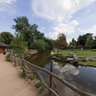 ZOO Prague - antelopes