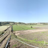 Plantação de Agrião