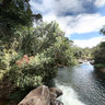 Cachoeira das Andorinhas - Gonçalves
