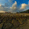 Low Tide Sindhu