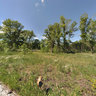 Paintball range 