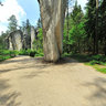 Adršpach-Teplice Rocks