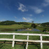 Fazenda da Comadre