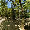 Camping Itamambuca